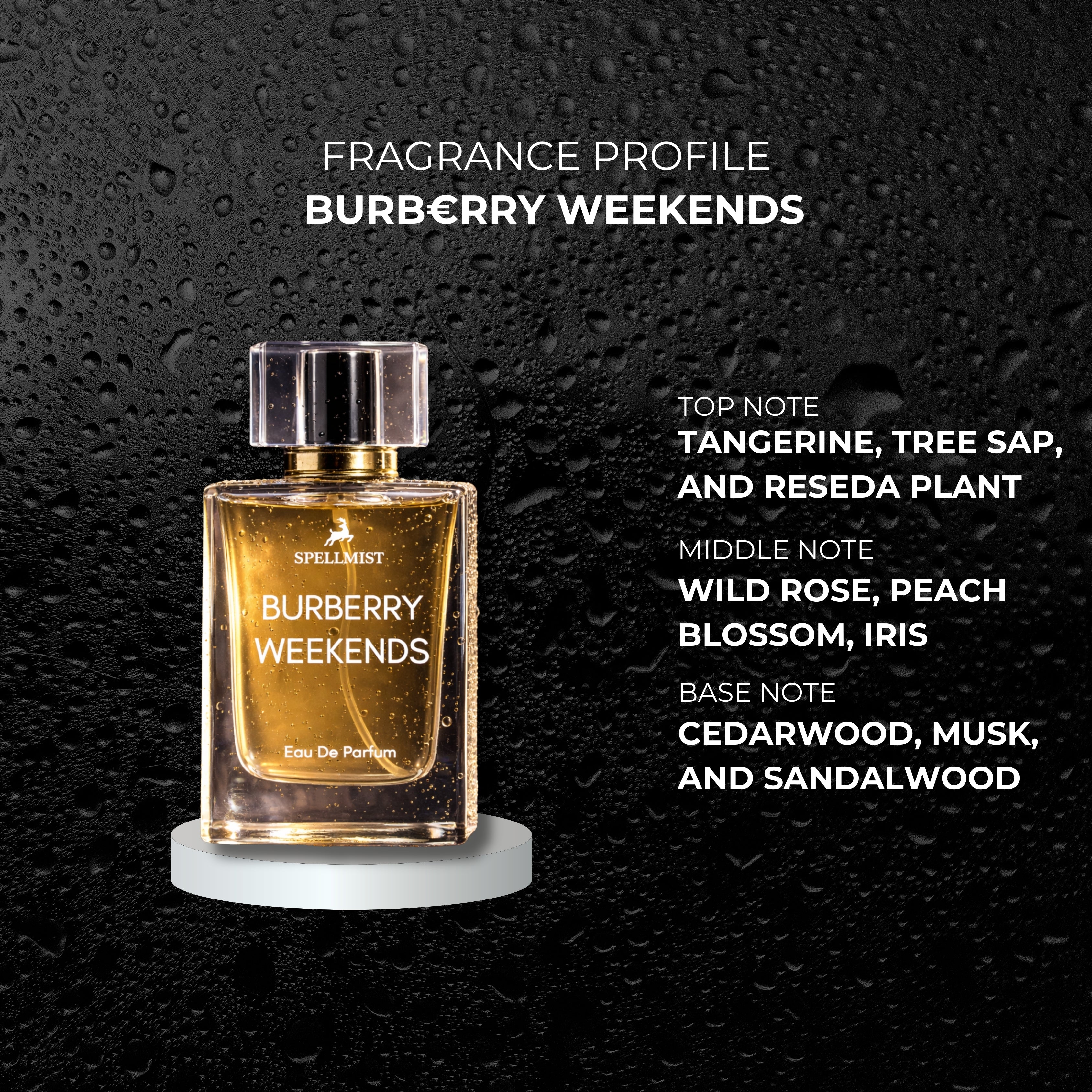 BURBERRY WEEKENDS