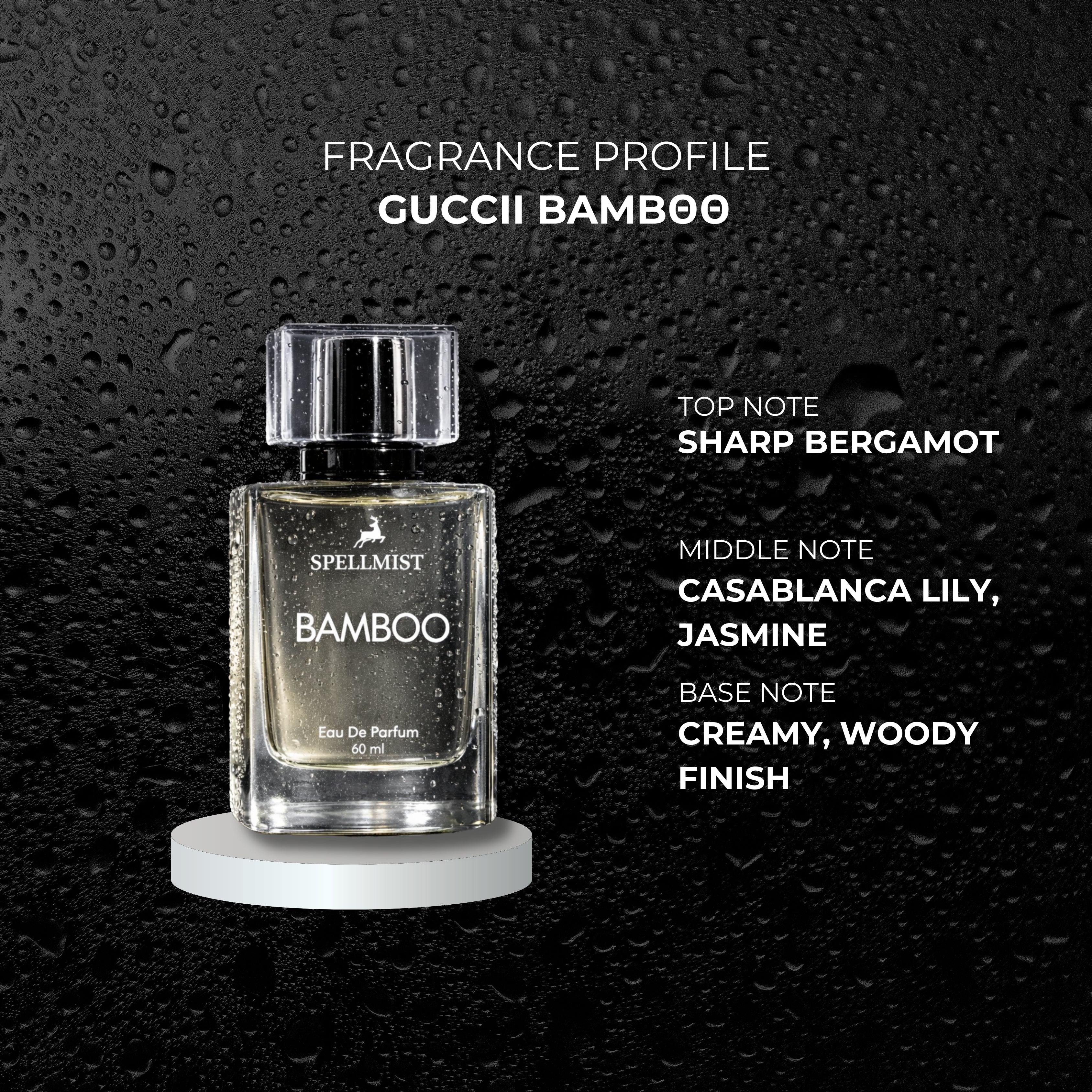BAMBOO