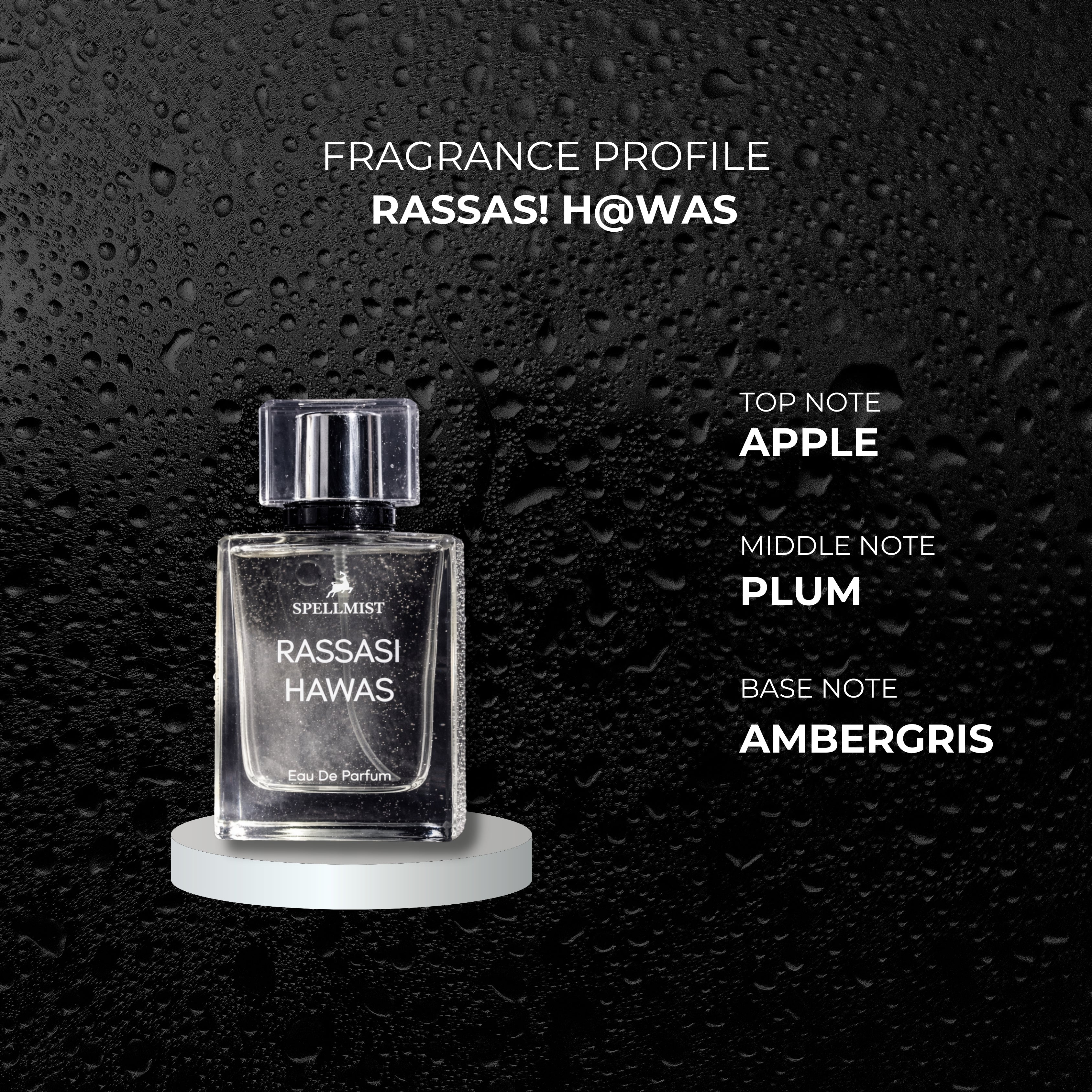 RASSASI HAWAS