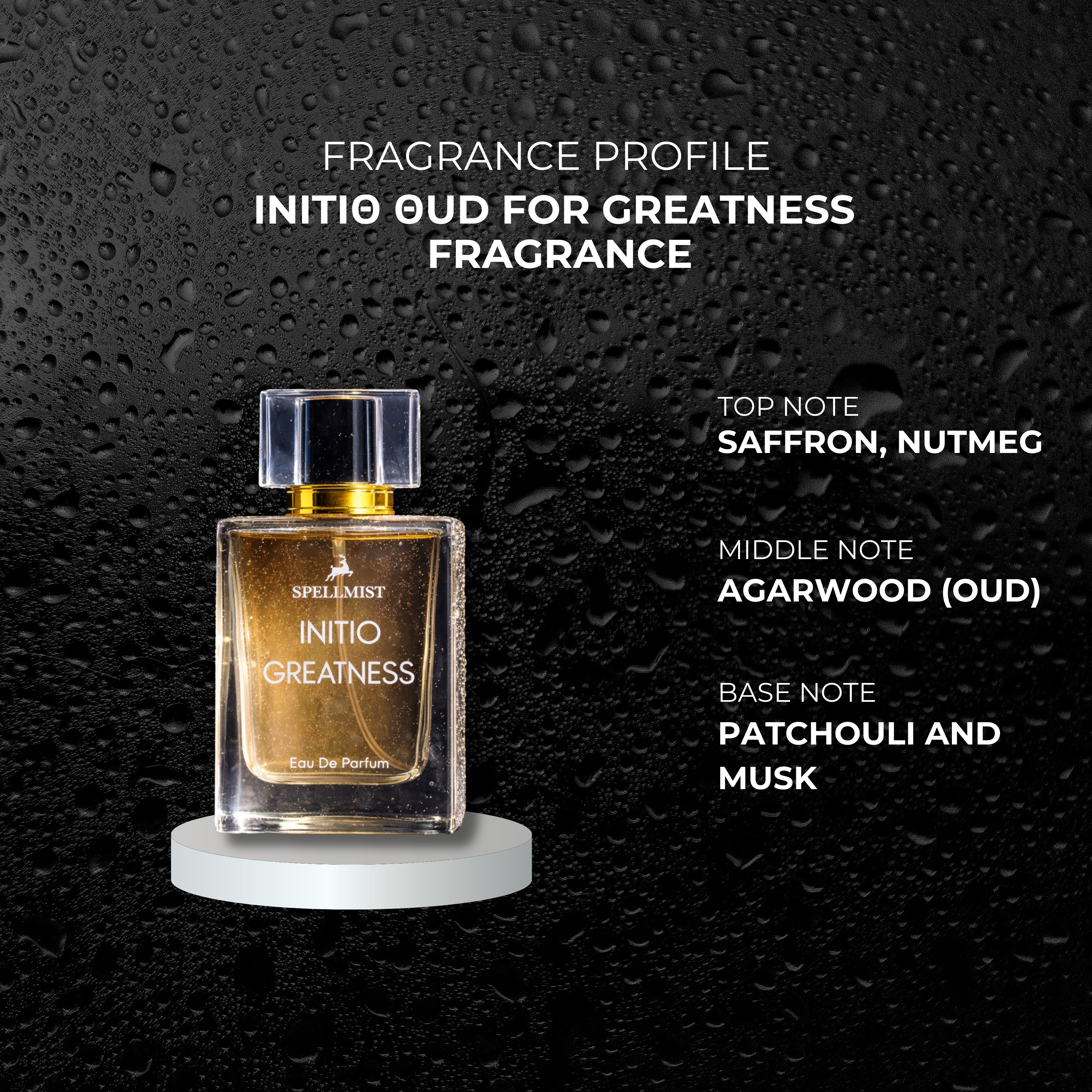 INITIO GREATNESS