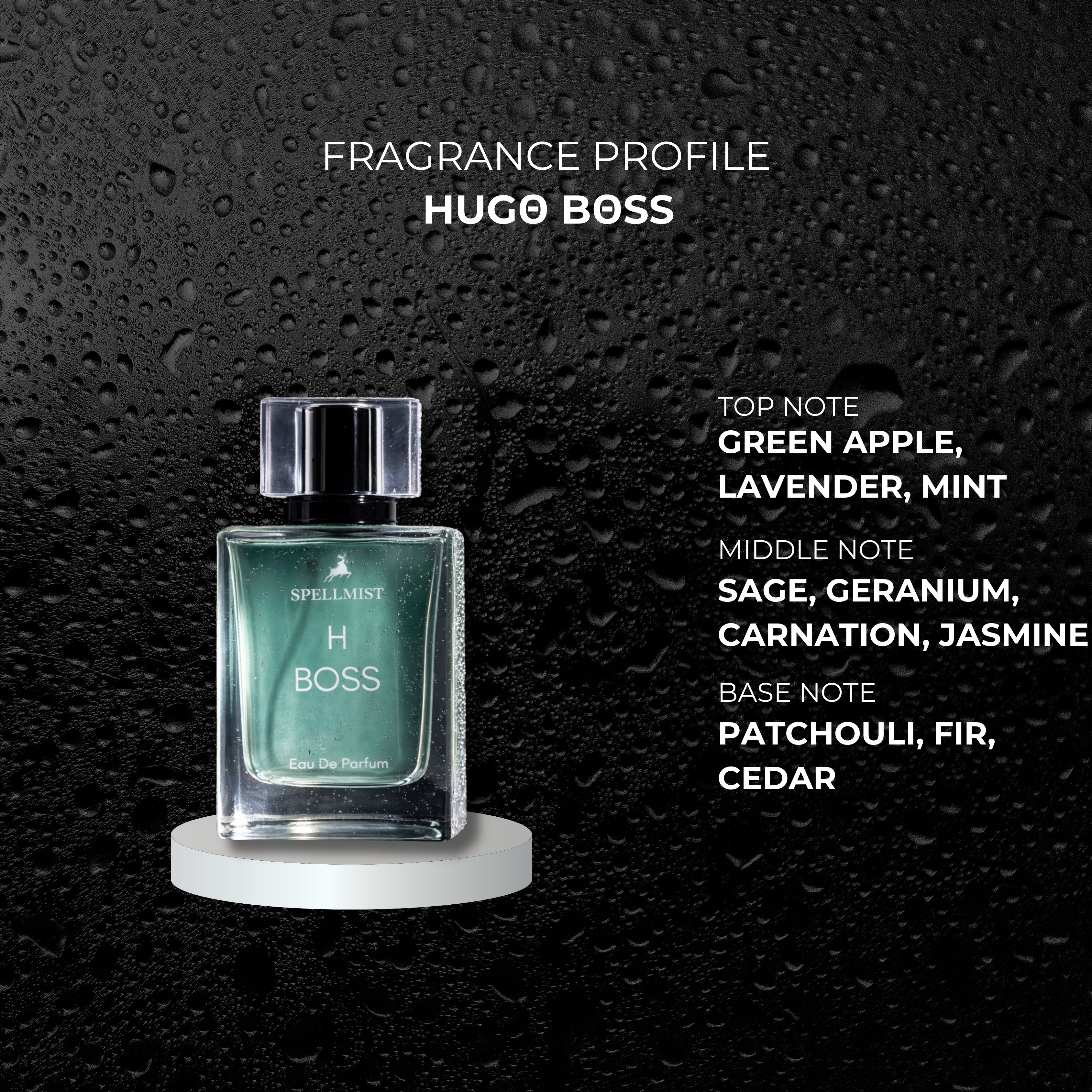 H BOSS