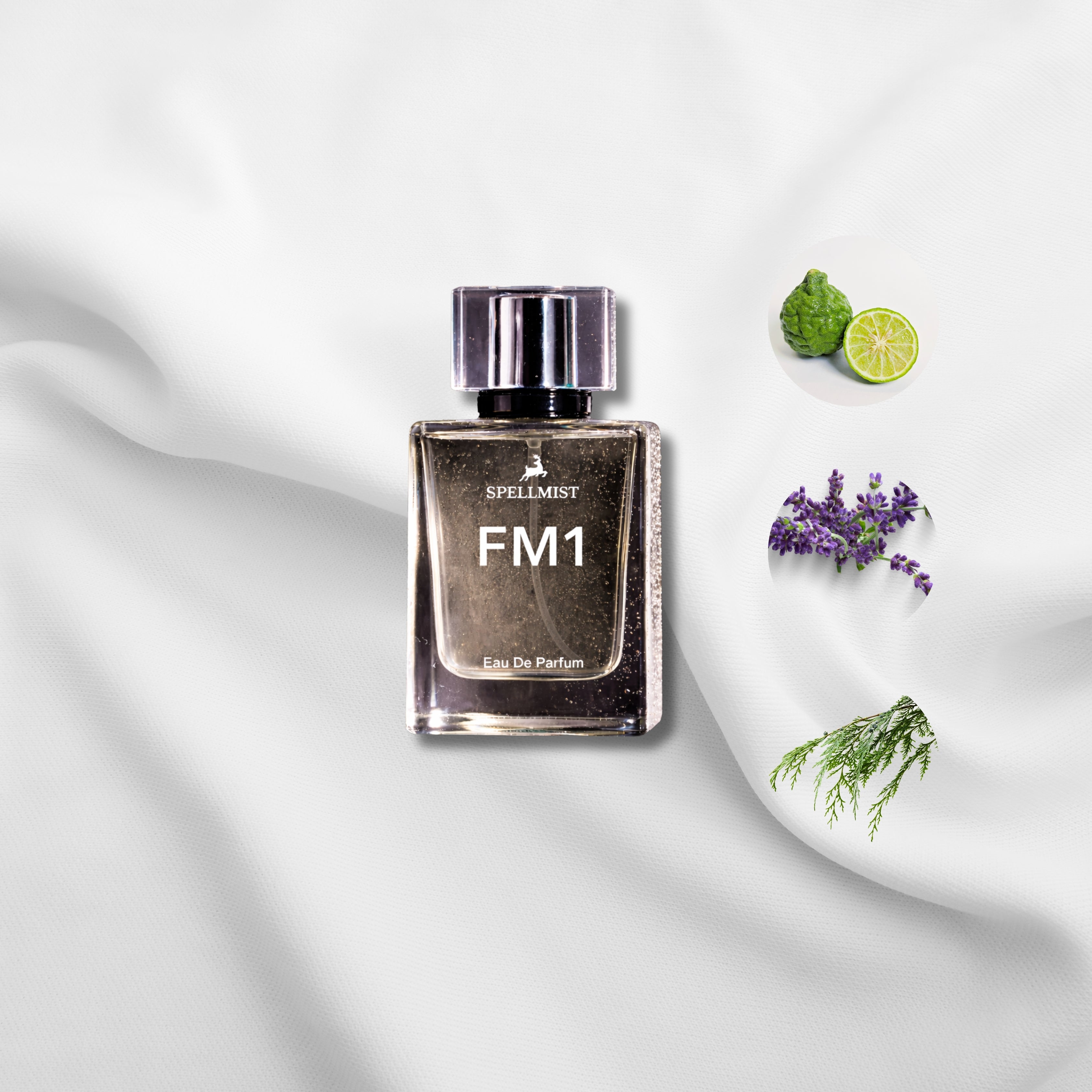 FM1